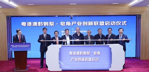 王老吉刺檸吉再出新品,廣藥牽頭成立相關產業(yè)創(chuàng)新聯(lián)盟