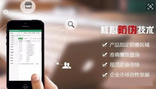 廈門二維碼防偽標簽的軟件設計與制作 技術創新與市場應用